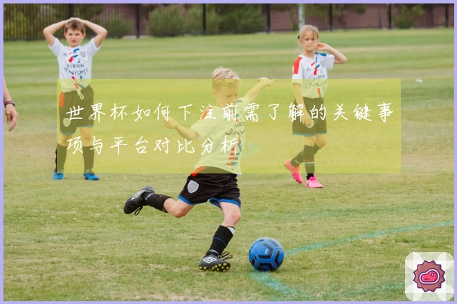 世界杯如何下注前需了解的关键事项与平台对比分析
