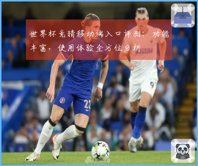 世界杯竞猜移动端入口评测：功能丰富，使用体验全方位分析