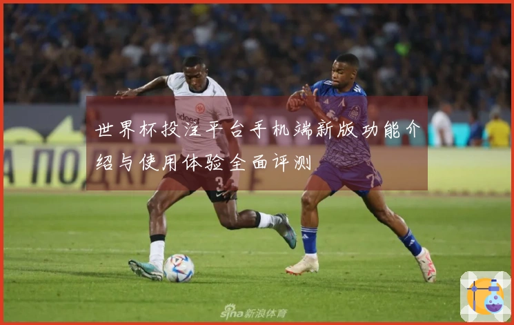 世界杯投注平台手机端新版功能介绍与使用体验全面评测