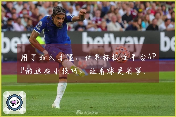 用了好久才懂,世界杯投注平台APP的这些小技巧,让看球更省事。