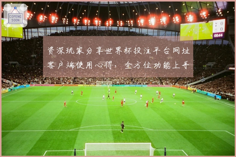 资深玩家分享世界杯投注平台网址客户端使用心得，全方位功能上手指南