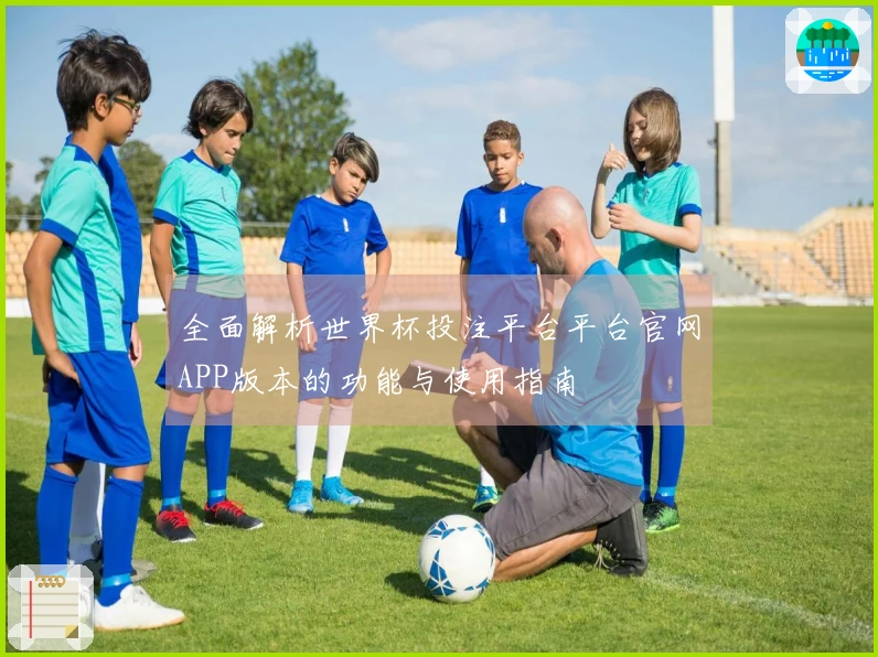 全面解析世界杯投注平台平台官网APP版本的功能与使用指南