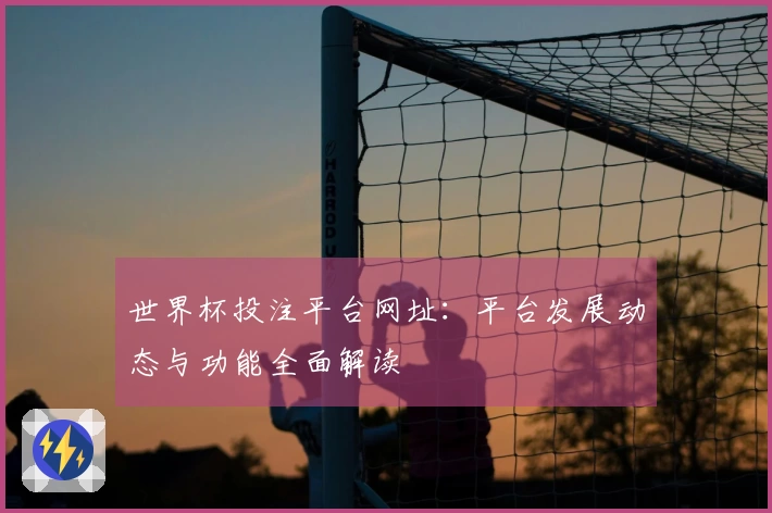 世界杯投注平台网址：平台发展动态与功能全面解读