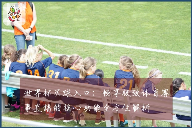 世界杯买球入口：畅享极致体育赛事直播的核心功能全方位解析