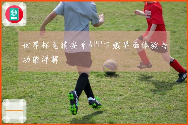 世界杯竞猜安卓APP下载界面体验与功能详解