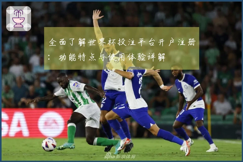 全面了解世界杯投注平台开户注册:功能特点与使用体验详解