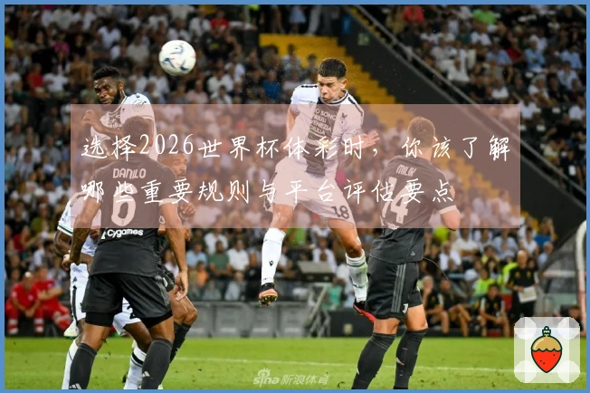 选择2026世界杯体彩时，你该了解哪些重要规则与平台评估要点